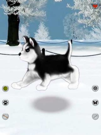 Talking Dog Virtual Pet Husky screenshot