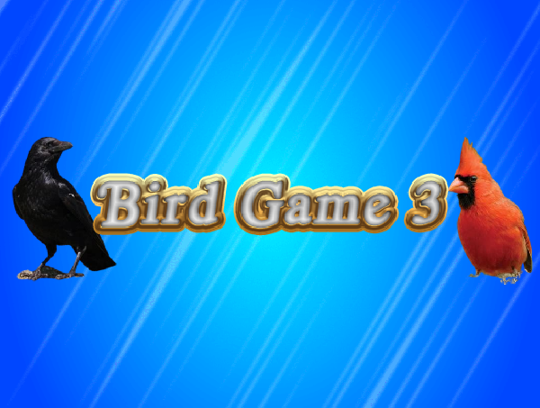 Games like Bird Game 3