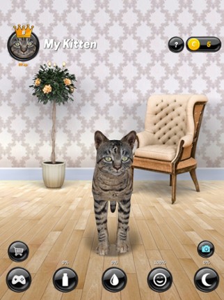 My Kitten (Cat Simulator) screenshot