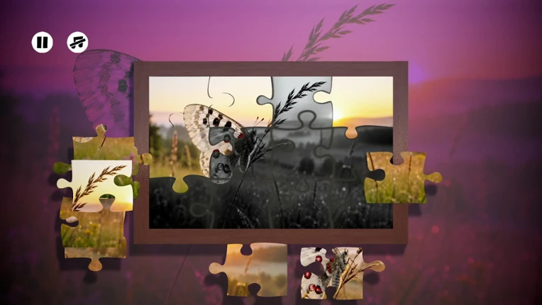 Puzzles Insect Image