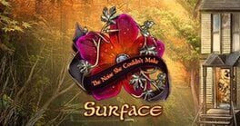 Surface: The Noise She Couldn't Make Image