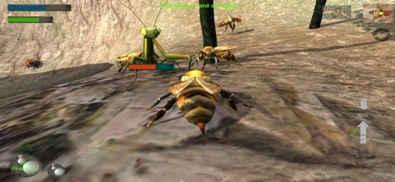 Bee Nest Simulator Full screenshot