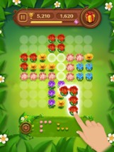 Block Puzzle Blossom Image