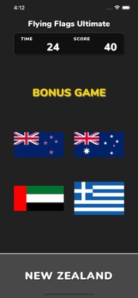 Flying Flags Ultimate screenshot