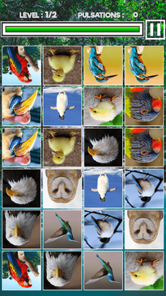 Memory Match Jungle Animals Image