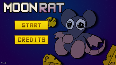 Moon Rat Image