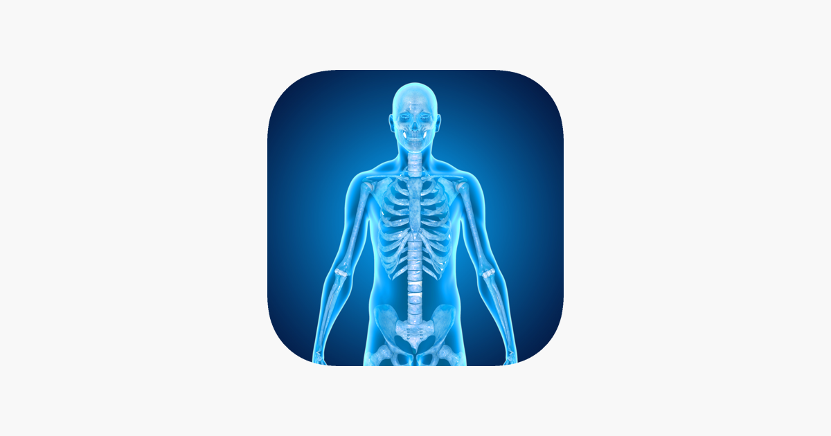 Games like Skeletal System Medical Terms