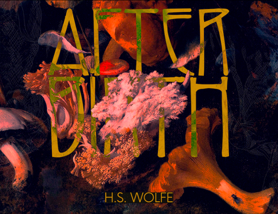 Afterbirth Image