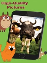 Animal Sounds: Flashcards for kids and toddlers Image