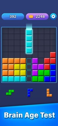 Block Puzzle · screenshot