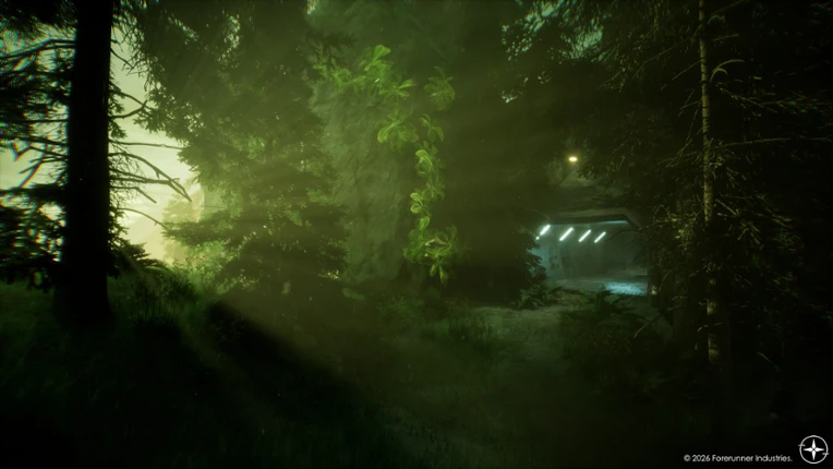 Fallen Forest: Echoes Within Image