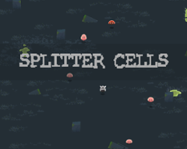 Splitter Cells Image