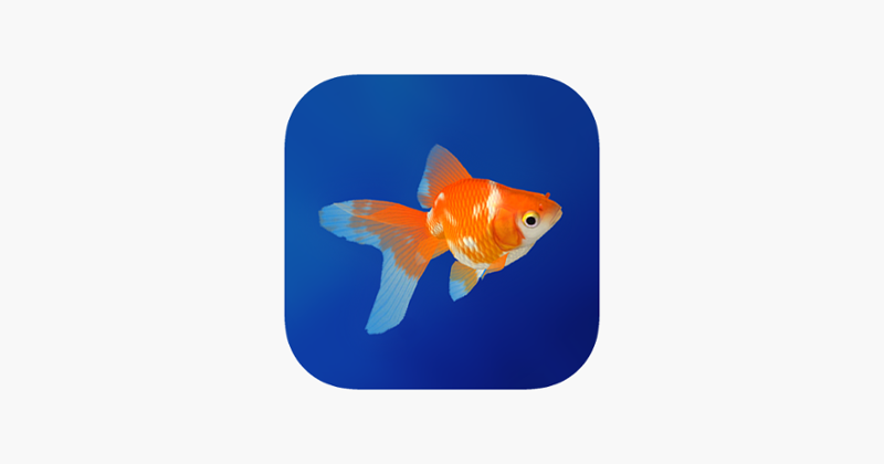 Goldfish - Aquarium Fish Tank Image