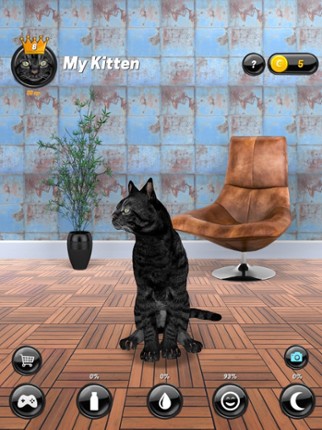 My Kitten (Cat Simulator) screenshot