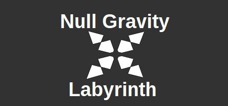 Games like Null Gravity Labyrinth