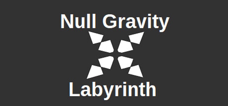 Null Gravity Labyrinth Image