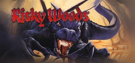 Games like Risky Woods