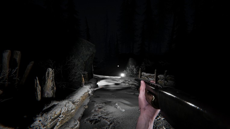 Silence In The Cabin screenshot