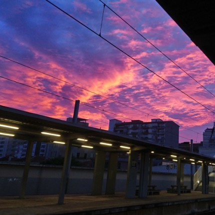 Testing Grounds Image