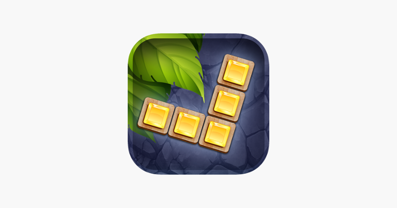 10s Amazing! Wood Block Puzzle Image