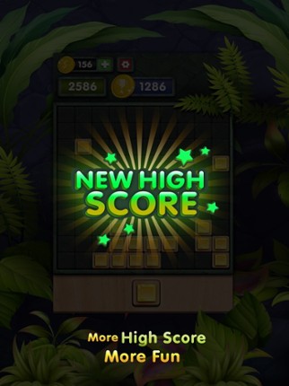 10s Amazing! Wood Block Puzzle screenshot