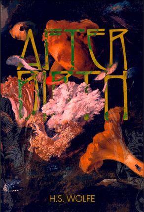 Afterbirth Image