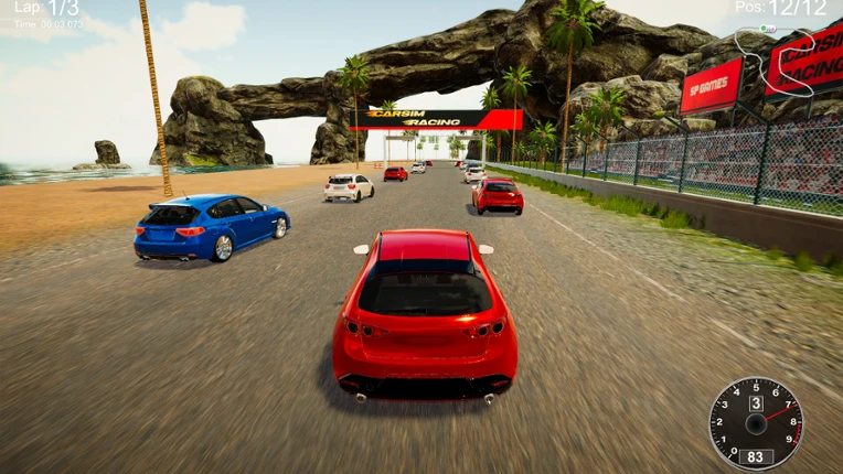 CarSim Racing screenshot