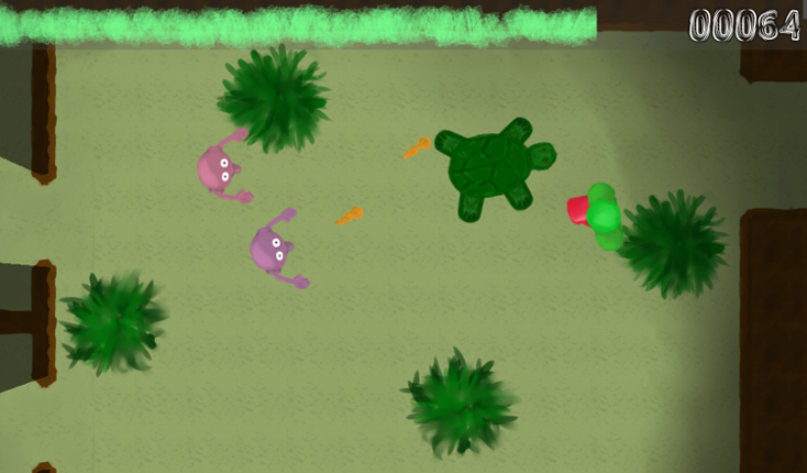 Hope is a turtle Image