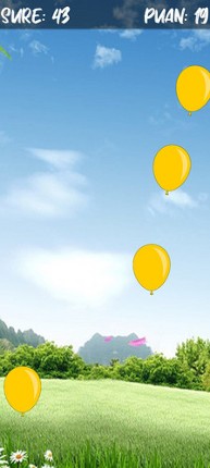 Pop The Balloons screenshot