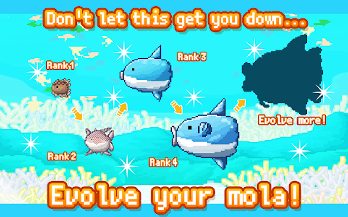 Survive! Mola Mola! Image