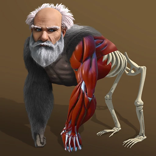 Games like Idle Evolution - Cell to Human