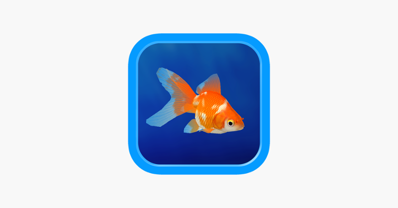 Goldfish - Aquarium Fish Tank Image