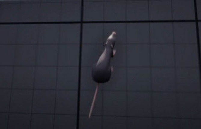 Insectos Escalan Paredes Image