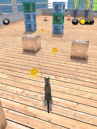 My Kitten (Cat Simulator) screenshot