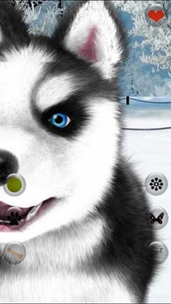 Talking Dog Virtual Pet Husky screenshot