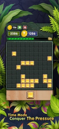 10s Amazing! Wood Block Puzzle screenshot