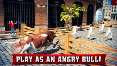 Angry Bull 2016 Image