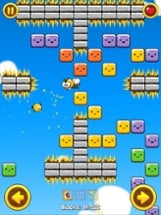 Breakout Birdie Adventure Image