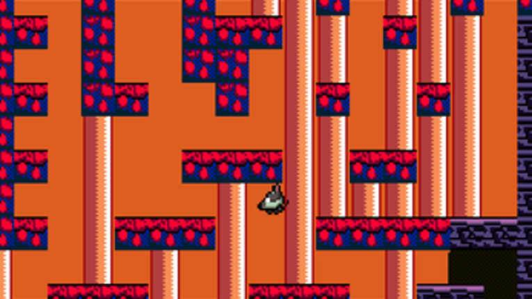 Coyote Climb screenshot