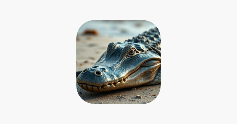 Crocodile Animal Attack Games Image