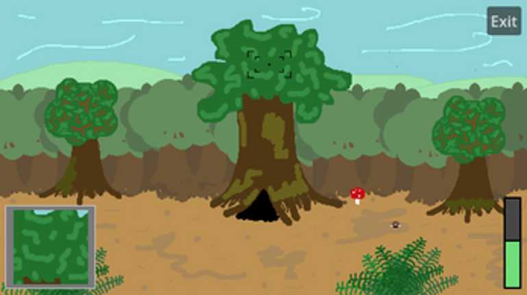 Flutterby Shutter Image