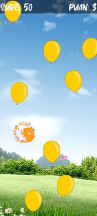 Pop The Balloons screenshot