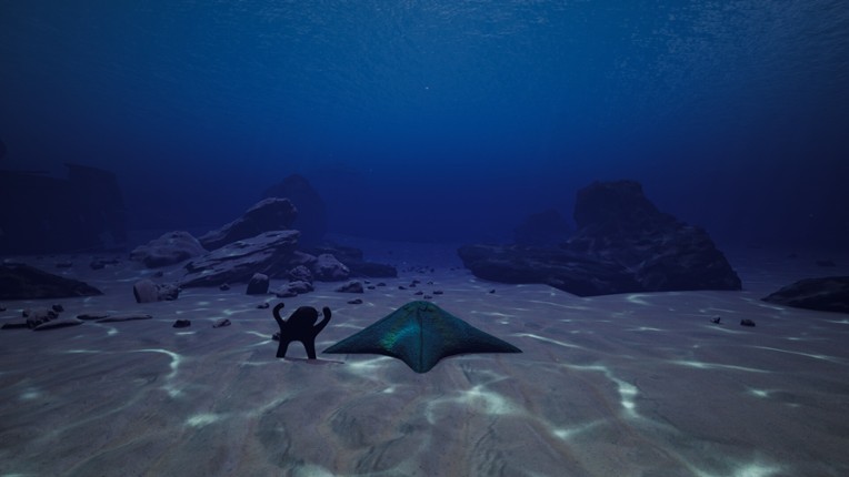 Starfish Simulator screenshot