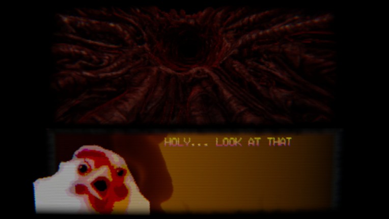 what did the chicken see Image