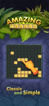 10s Amazing! Wood Block Puzzle Image