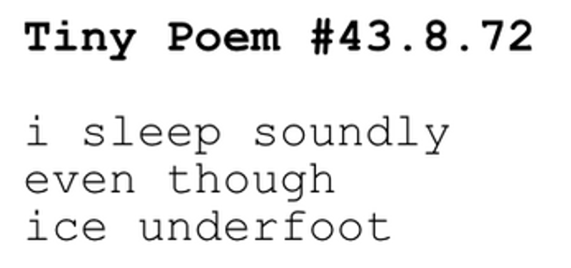 a trillion / quite tiny / little poems screenshot
