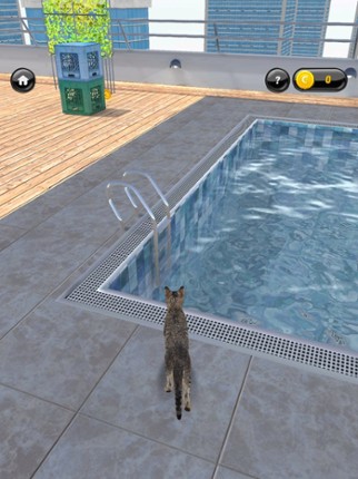 My Kitten (Cat Simulator) screenshot