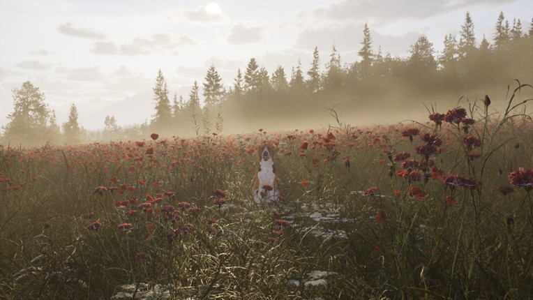 Next Hunting Adventure screenshot
