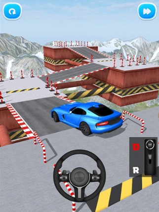 Real Driver 3D Image