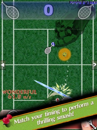 Switch Sports screenshot